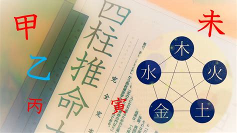 先天運|命式｜新栄堂 四柱推命の鑑定術や説明を豊富な資料とともに分 